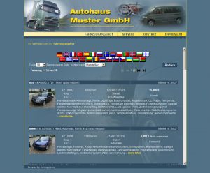 Beispiel für Händlerwebseite muster_03_1