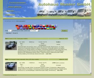 Beispiel für Händlerwebseite muster_05_4