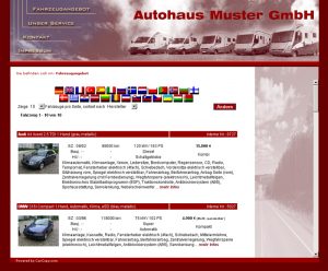 Beispiel für Händlerwebseite muster_05_5