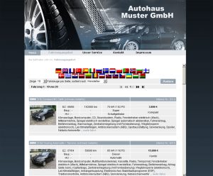 Beispiel für Händlerwebseite pkw_0004_02